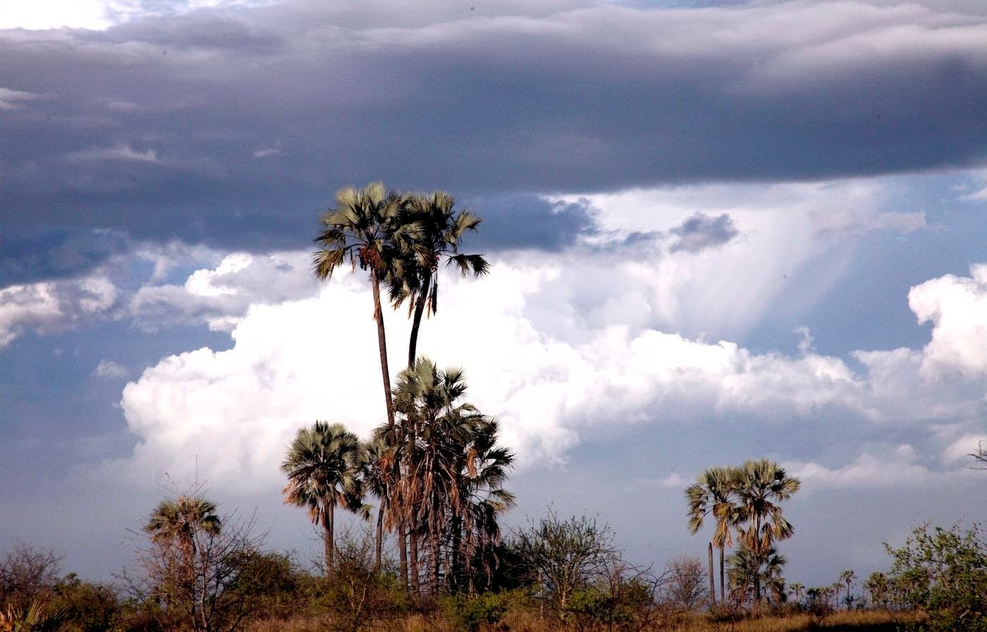Samburu Sky