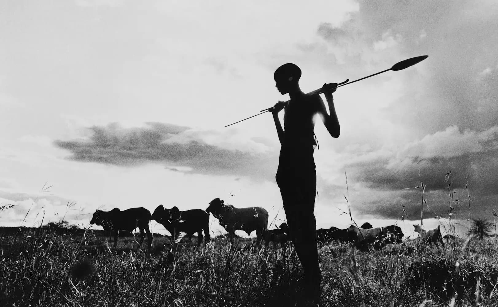 Samburu Youth Silhouette
