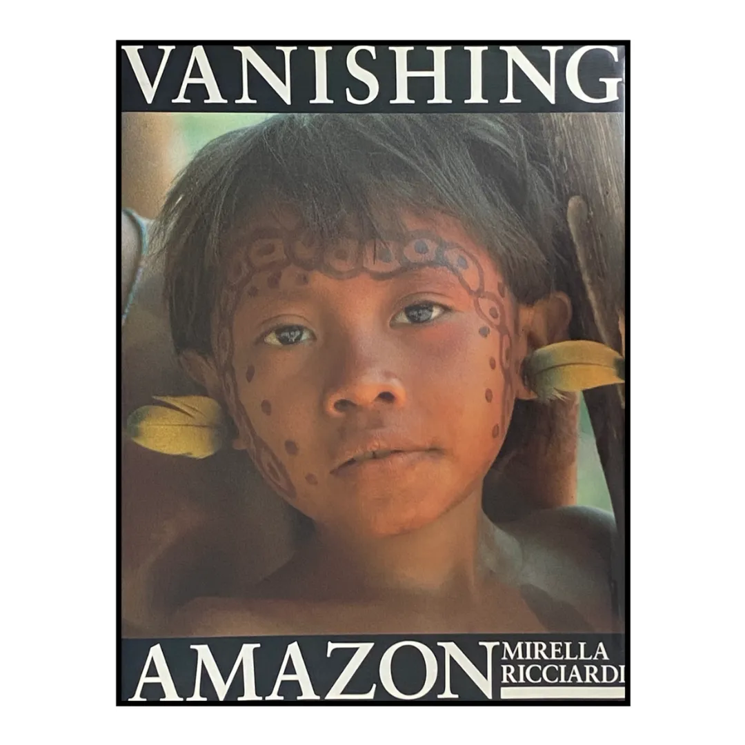 Vanishing Amazon