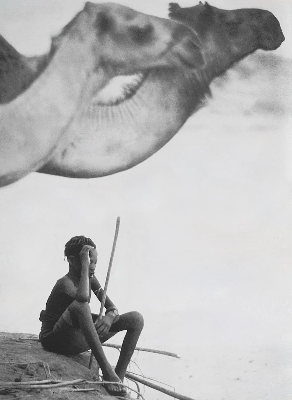 Adolescent Boy Sits in Shade of His Camels