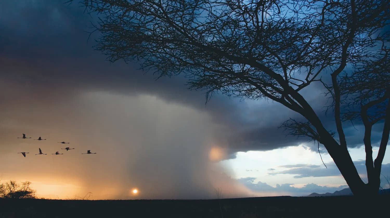 Samburu Storm