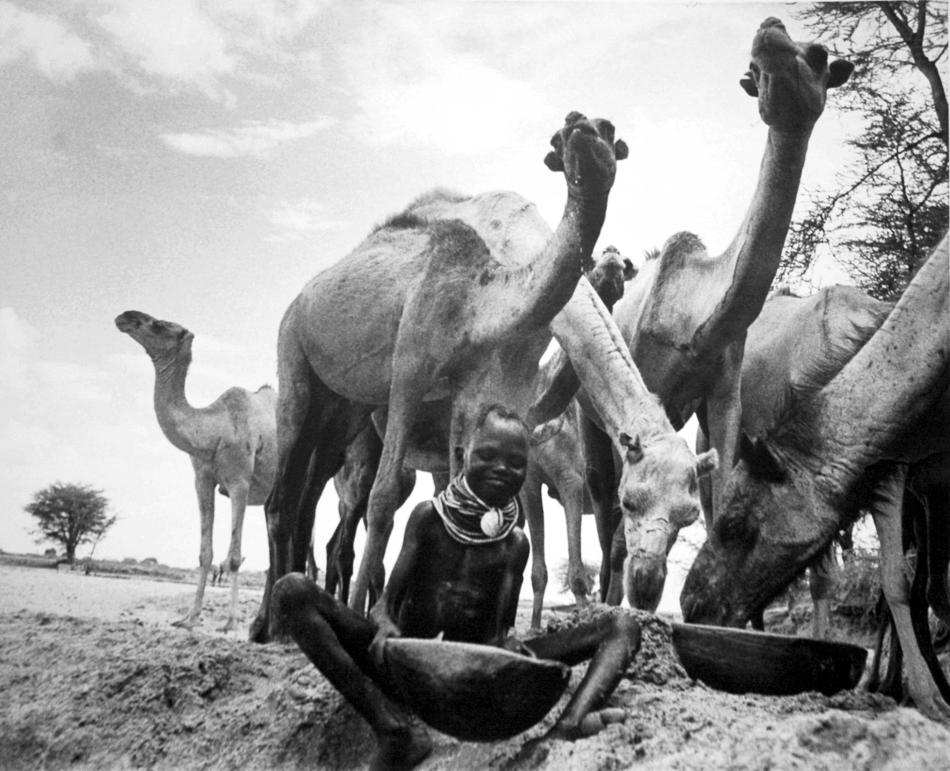 Nomad Turkana Girl Watering Camels