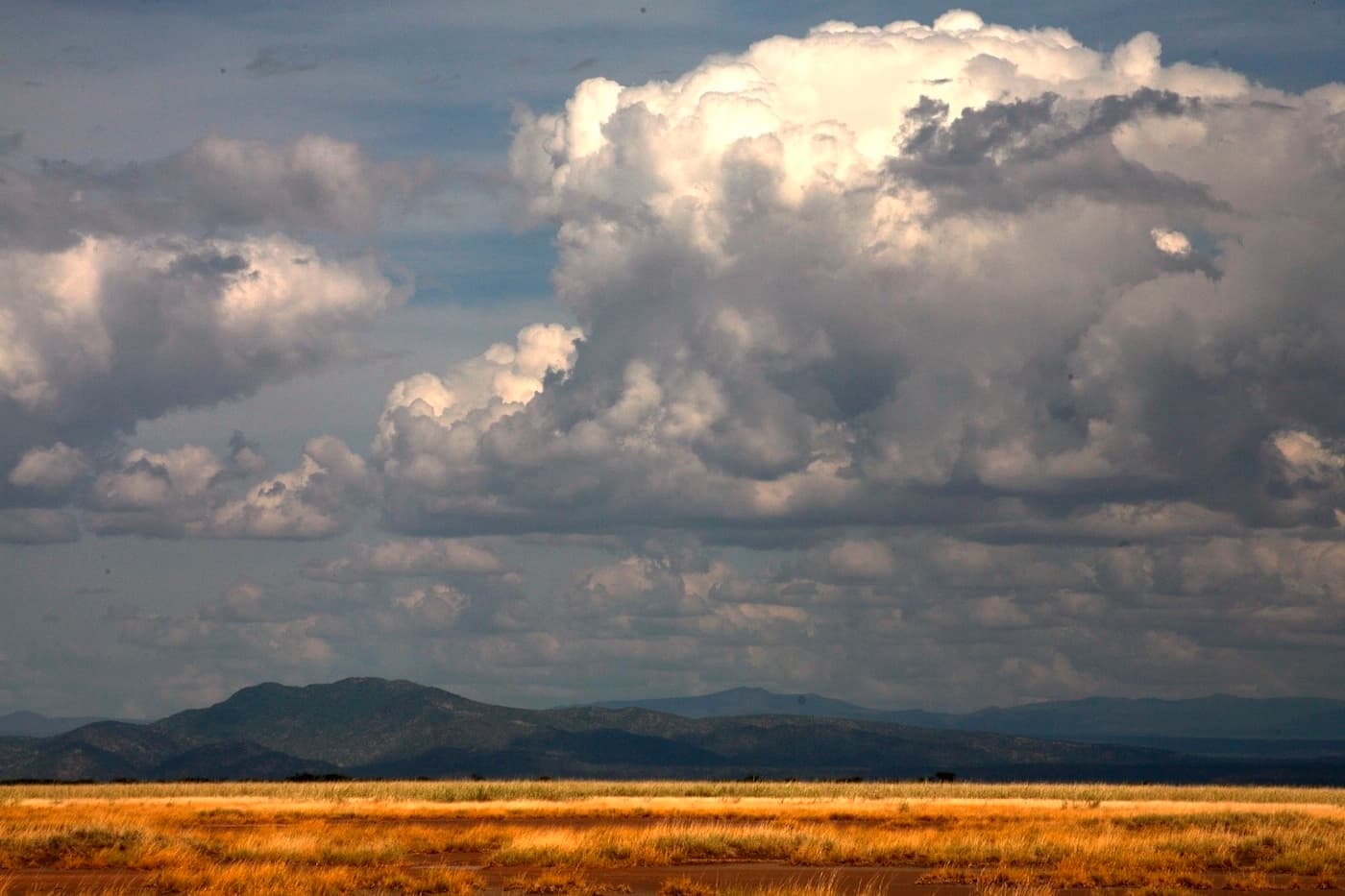 Shompole Sky with Rainclouds and Golden Grass