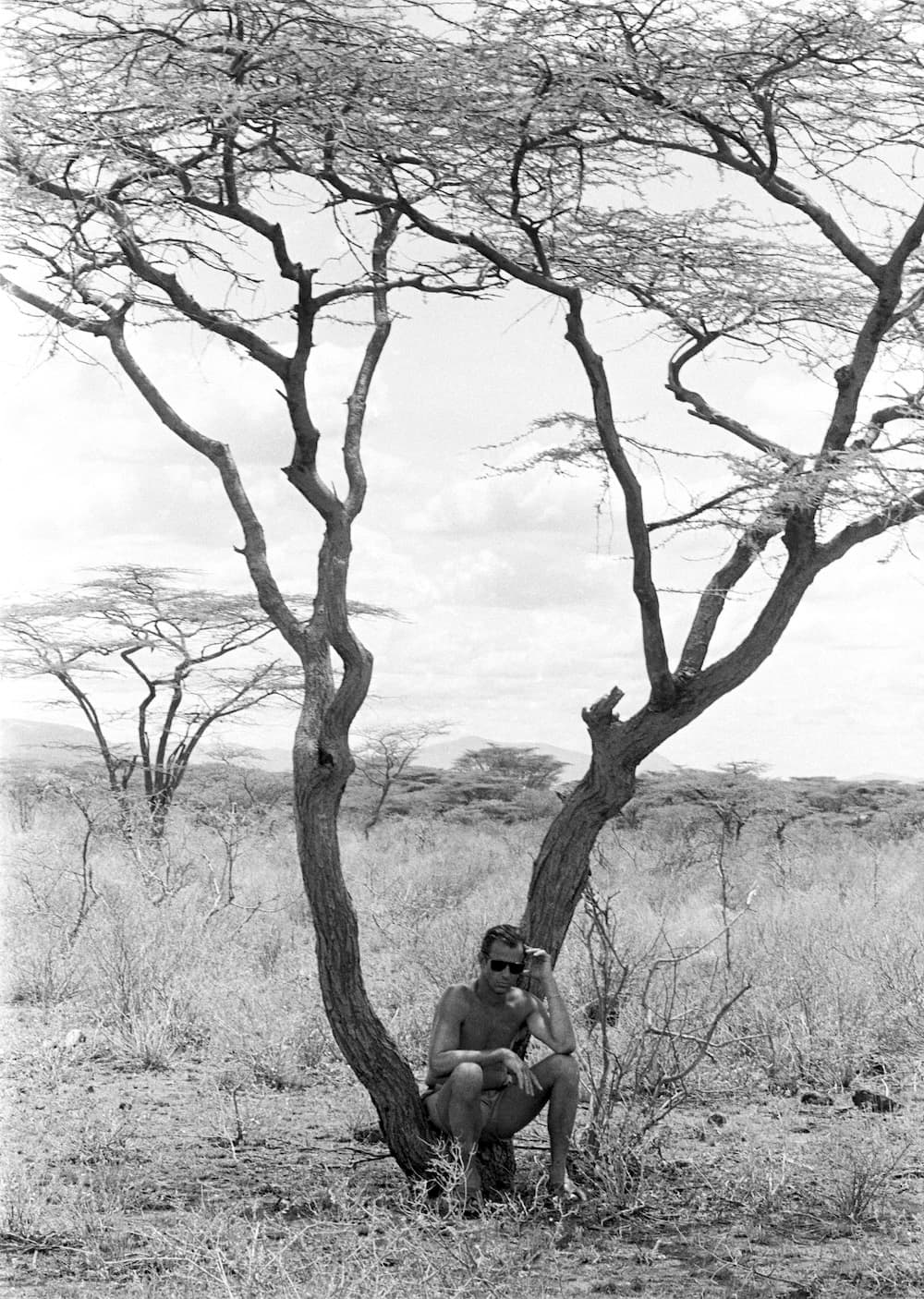 Peter Shading Under the Tree