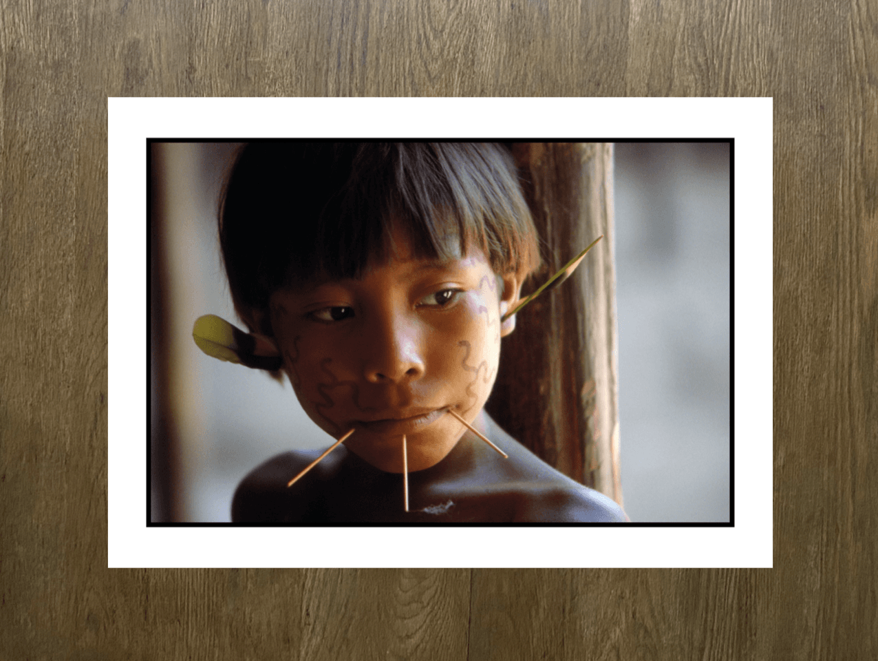 Digital Giclee Pigment Print