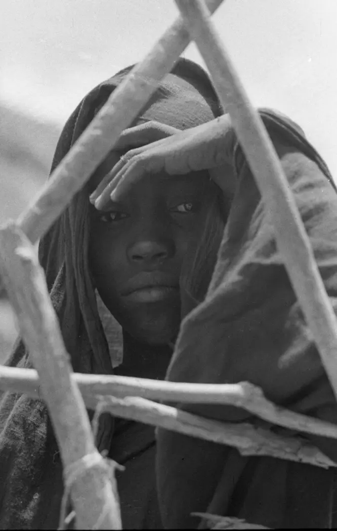 Child Looking Through Structure